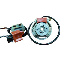 HPI binnenrotor ontsteking 