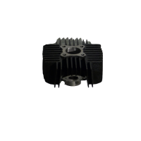 Gietijzeren cilinder DMP als origineel