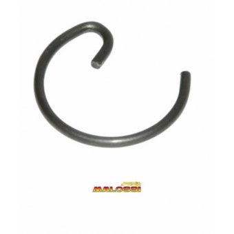 Pen 12 piston clip Malossi